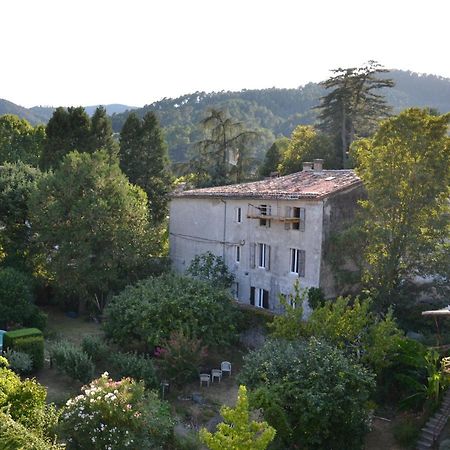 Vista Cevenol: Appartement 2 Chambres サン・ジャン・デュ・ガル エクステリア 写真